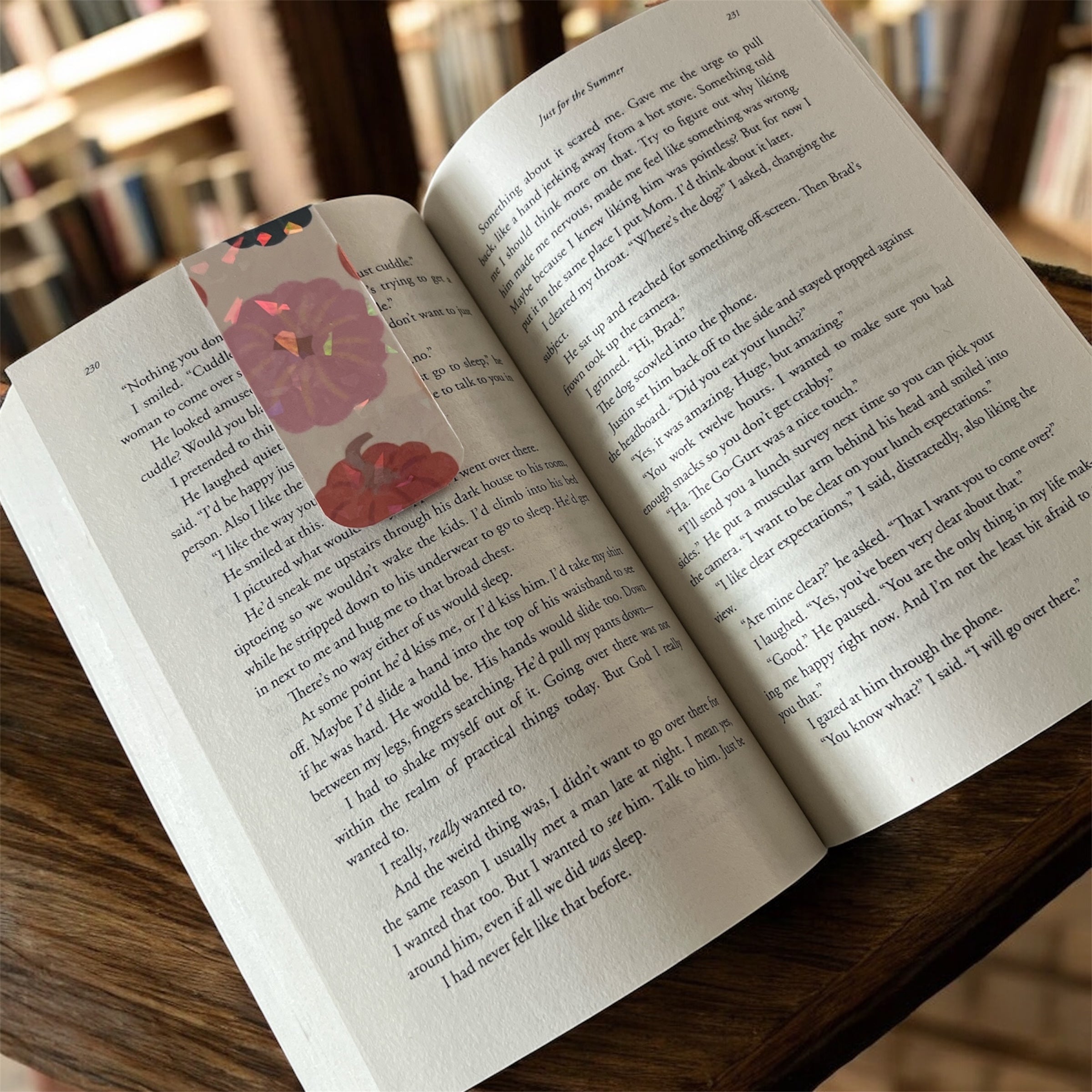 Magnetic Bookmarks
